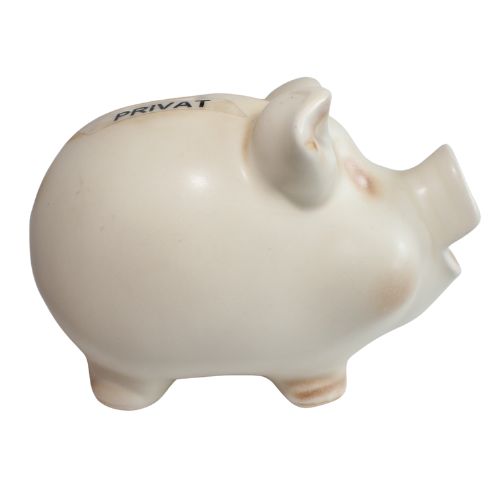Steuerschwein – Bild 2