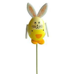 Hase